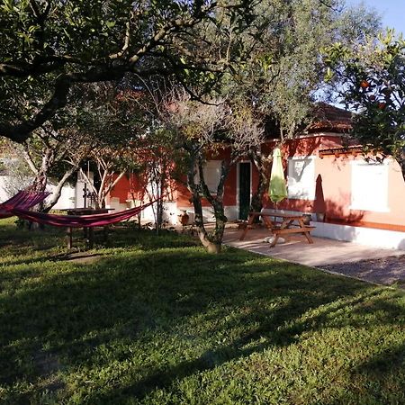 Casa Das Laranjeiras E Parque Infantil Azeitao Dış mekan fotoğraf