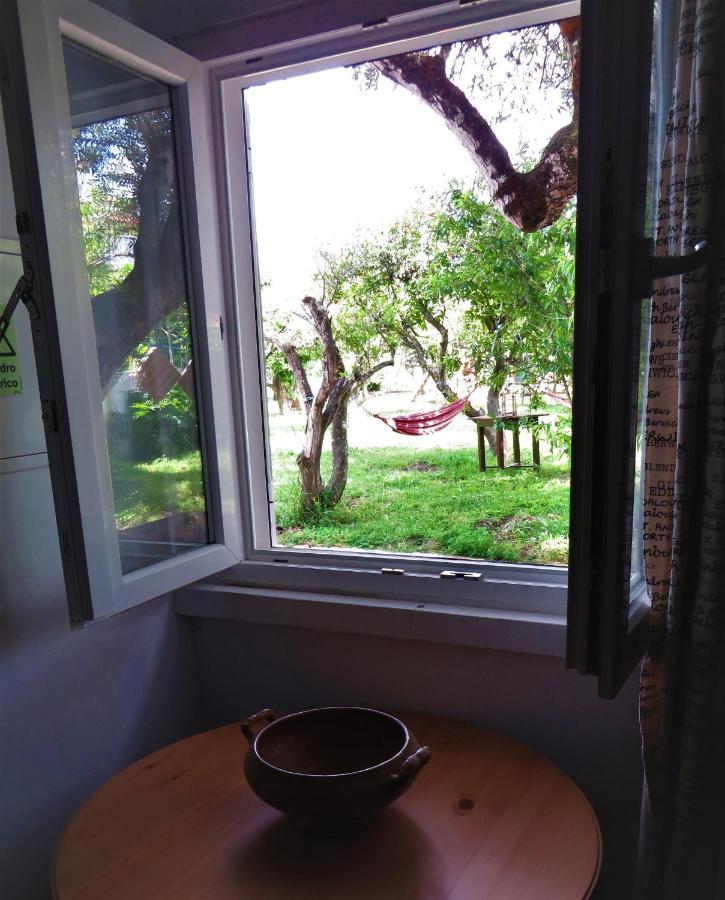 Casa Das Laranjeiras E Parque Infantil Azeitao Dış mekan fotoğraf